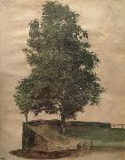 Albrecht Durer Linden Tree on a Bastion Sweden oil painting artist
